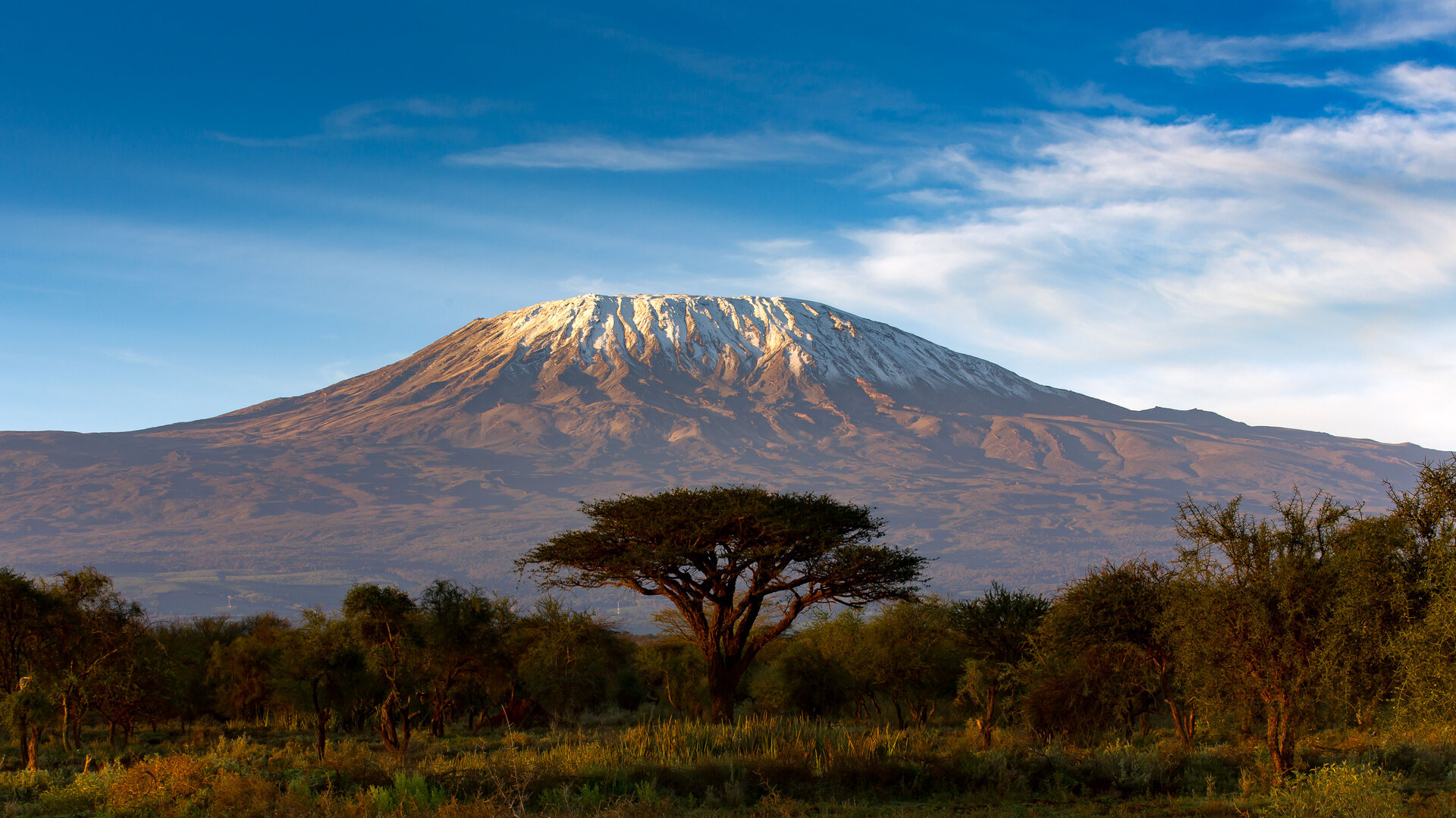 Kilimanjaro Trekking