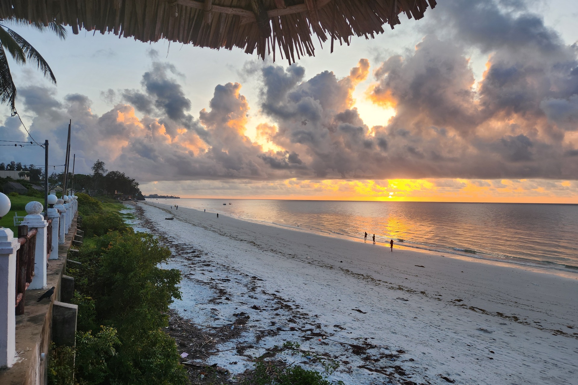 The Safari & Sand Escape